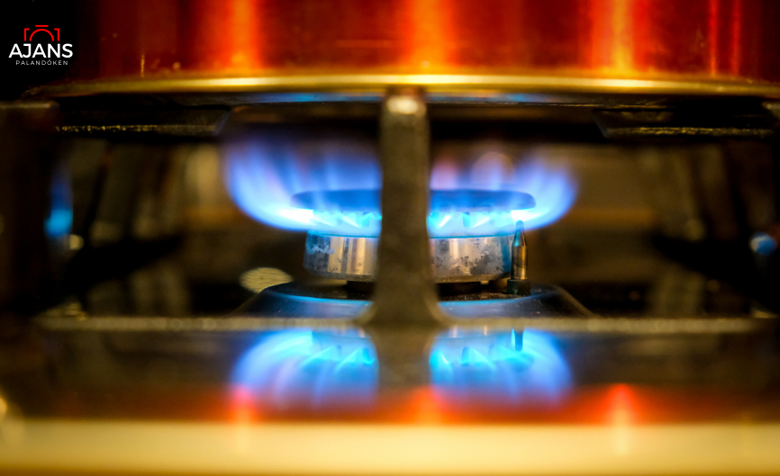 Erzurum'da 32 bin 310 kişiye doğalgaz verilemedi