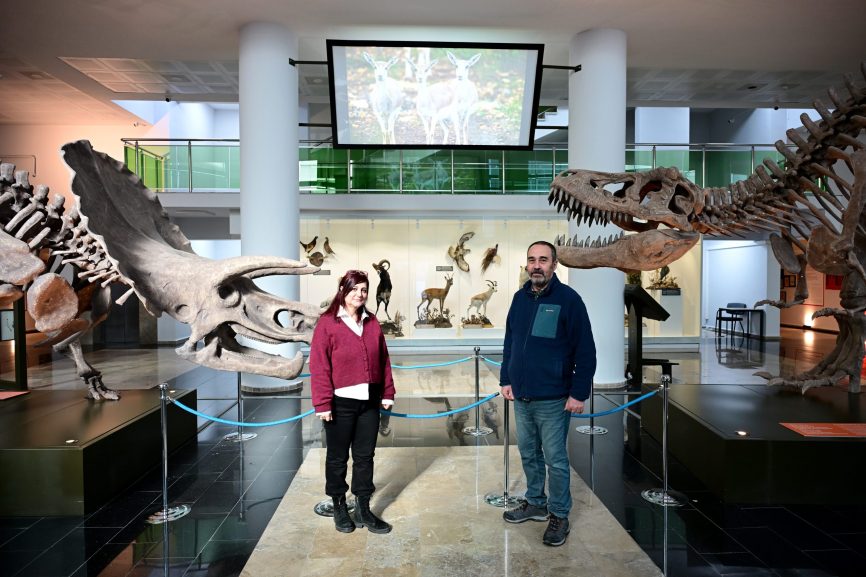 Genetik miras onlara emanet!